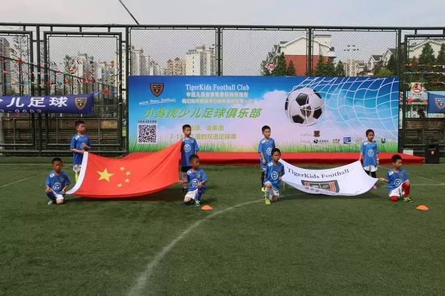 这意味着杨 这意味着杨